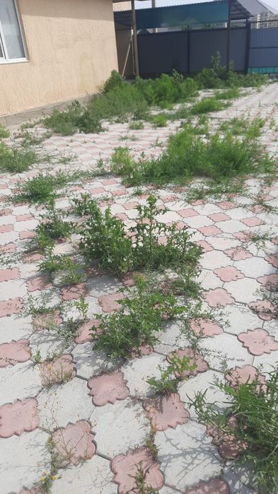 Уборка территории Покос травы .