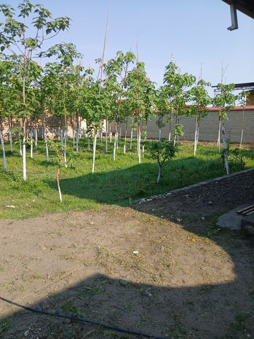 Ер учаска сотилади. 9,4 сотх.