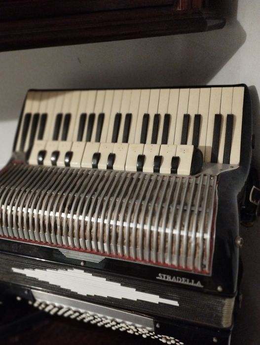 Acordeon italian cassotto