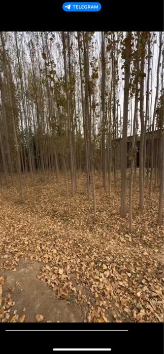 Срочно продается участок на Кибрай Майская