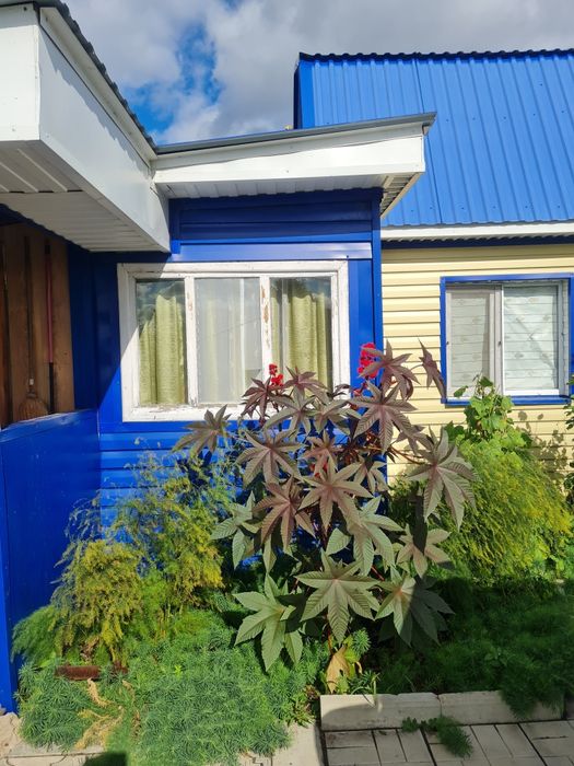 Дачу в обществе Гудок