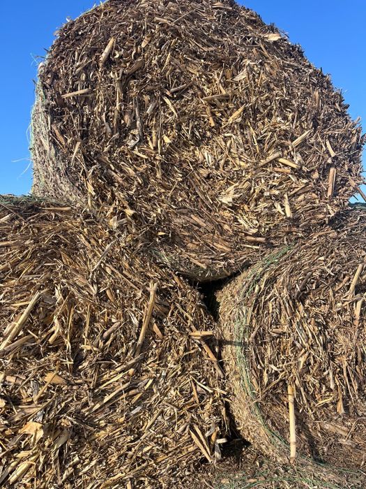 Vand Baloti de Coceni si de Paie