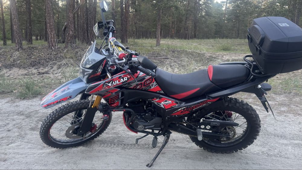 Ular b1 на учете