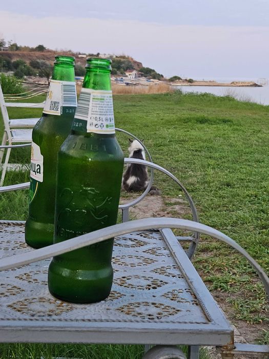 Vand Yamaha tracer 700