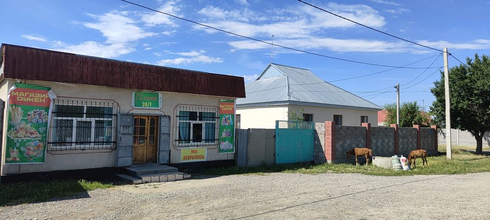 Прадаяется Дом Действуюшим магазином
