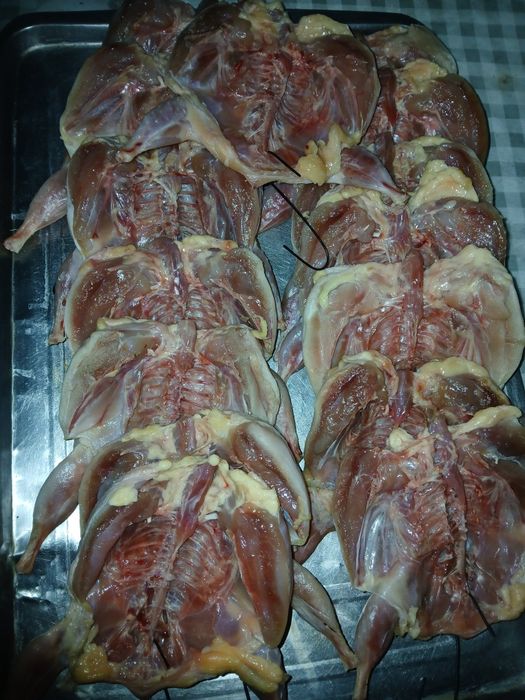 Bedana go'sht va jo'jalari