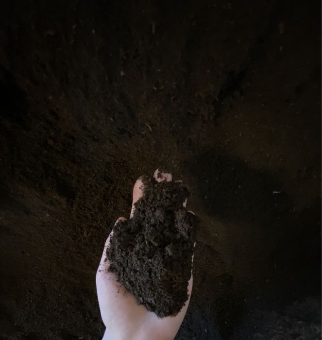 Биогумус сотилади