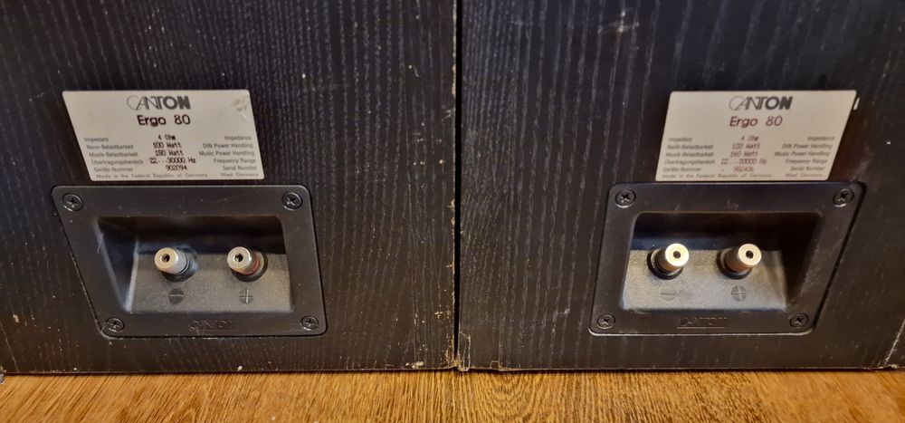 Boxe Canton Ergo 80