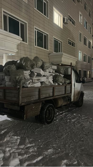 Мусыр шығару вывыз мусыр