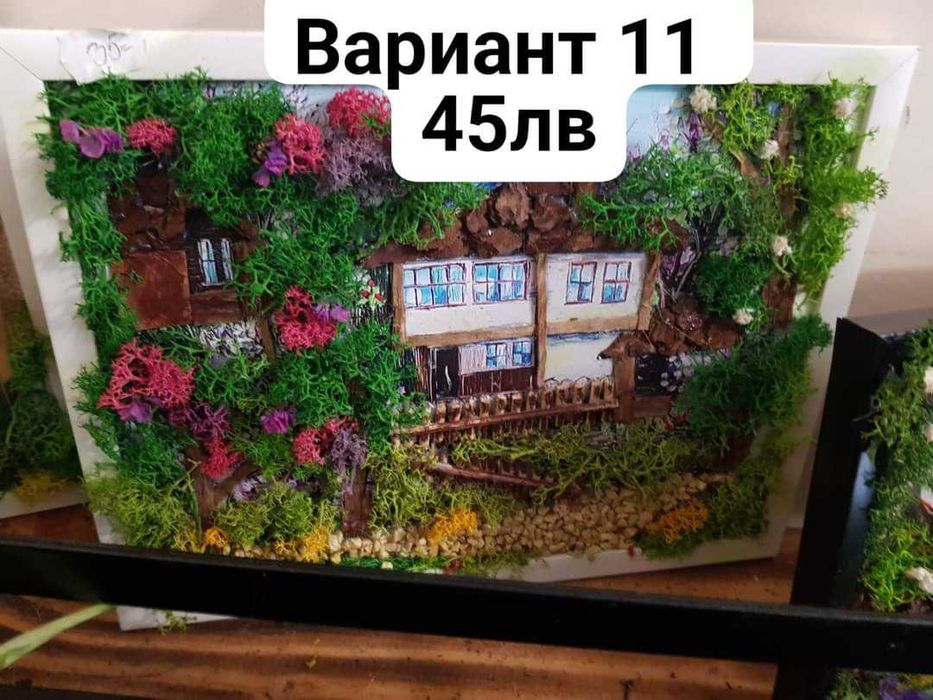 Картини със Скандинавски мъх