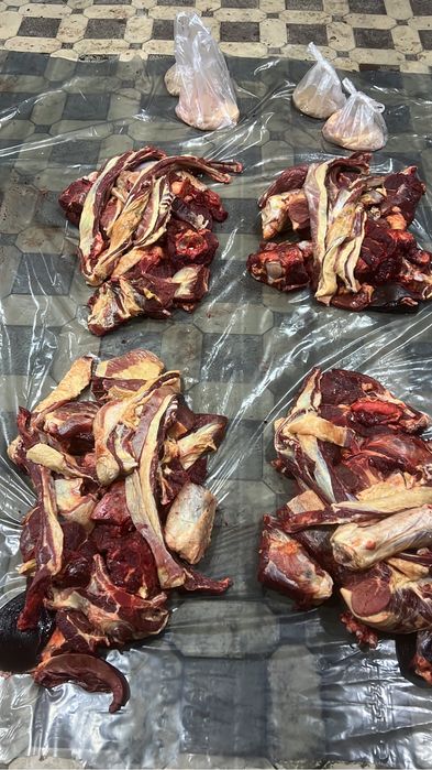 Канина|жылқы еті