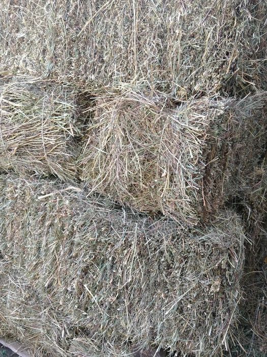 Продам тюки сено горное