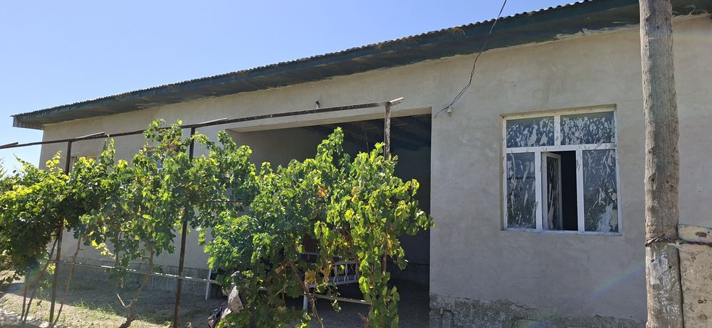 Romitan tumanida joylashgan 15 sotixli hovli tezda sotiladi.