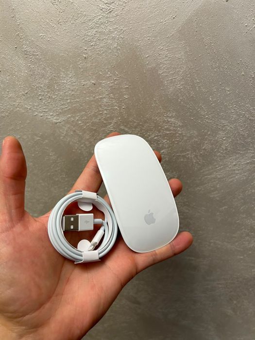 • Apple Magic Mouse 2 •