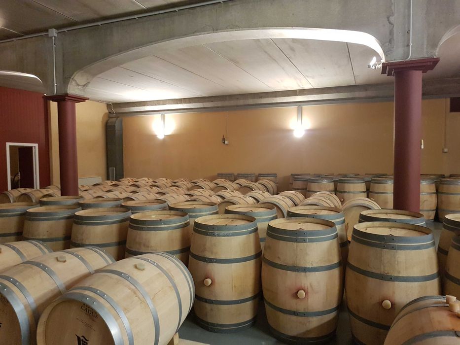 Butoaie din Stejar Francez pt.vin Alb ,Roze ,Rosu, Coniac, Țuică