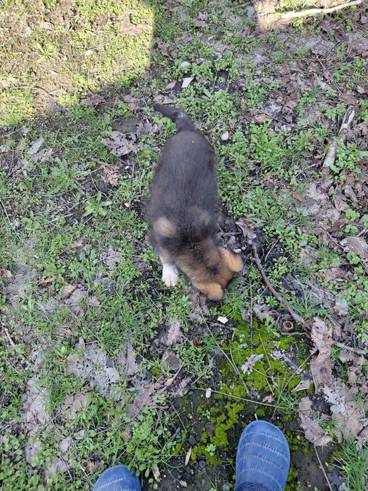 Званок мальчик пальчик