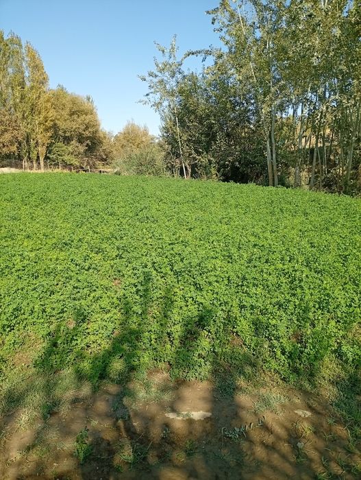 Участок сатылады