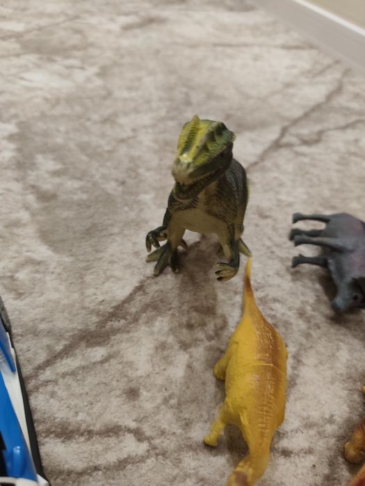 Музикална кола +животни