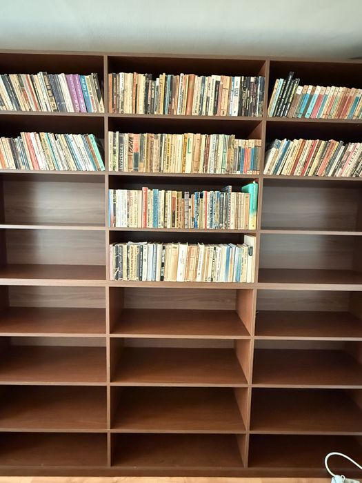 Dulap cu rafturi/biblioteca