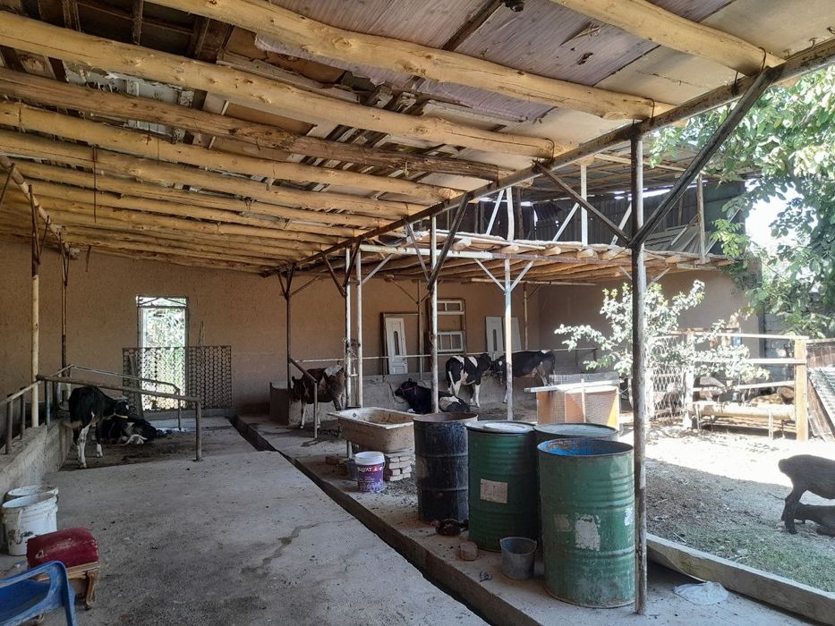 Ferma uchun uy sotiladi