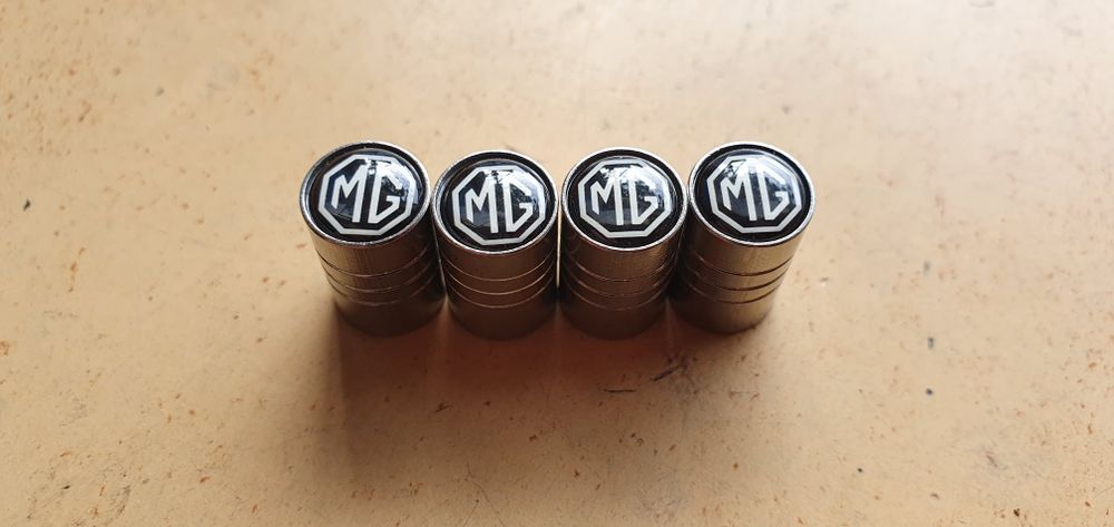 Capacele metalice anvelope. Modele deosebite.