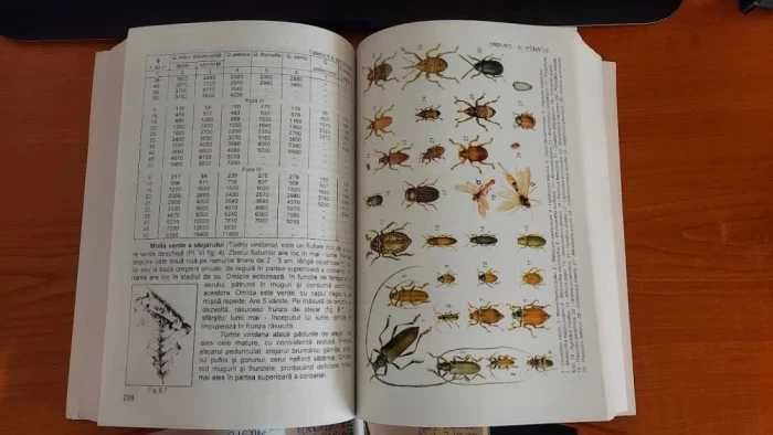 Cartea Padurarului - Anul 2003 - Milescu . Simionescu Rosianu