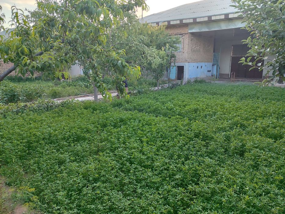 Dacha sotiladi 3 xonali