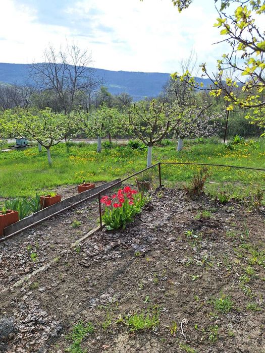 Casa P+M, direct proprietar, teren 2093 mp