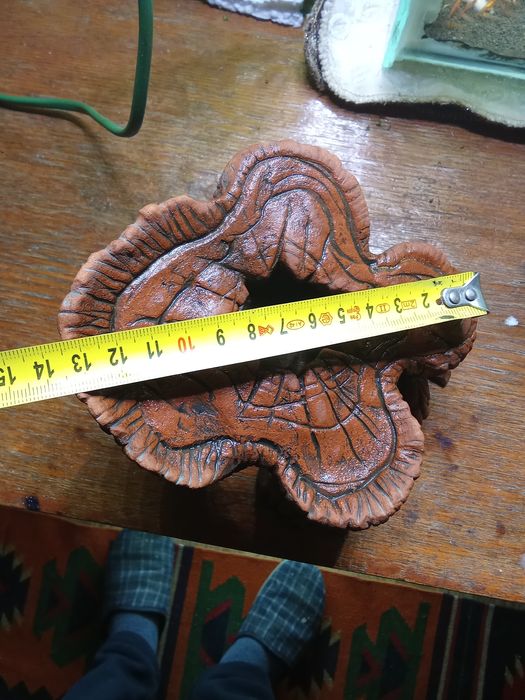 Грот пень-дерево