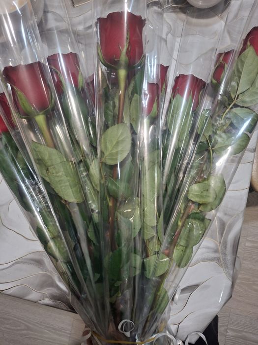 Идеальные красные розы