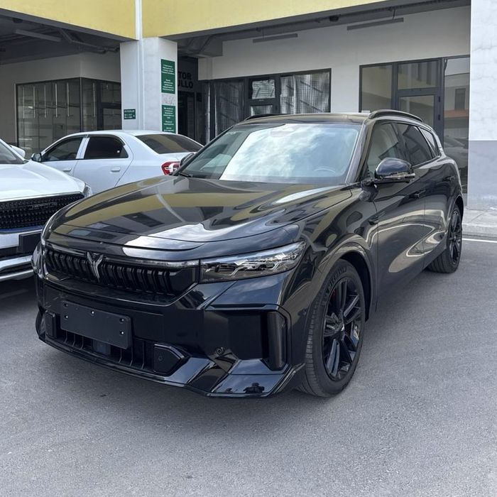 Voyah free 318km 2024/2025