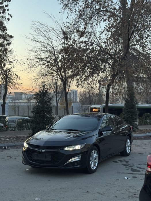 Malibu 2 xl 2023 kraska tozza