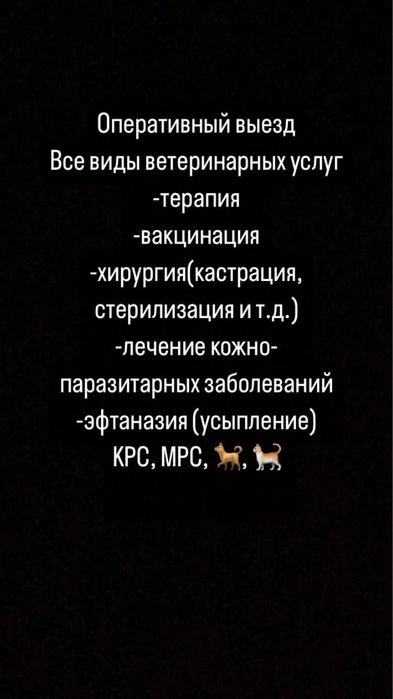 Ветеринар ветврач выез на дом