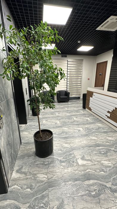 Аренда офиса 72 м2 в центре (IT park) от собственника