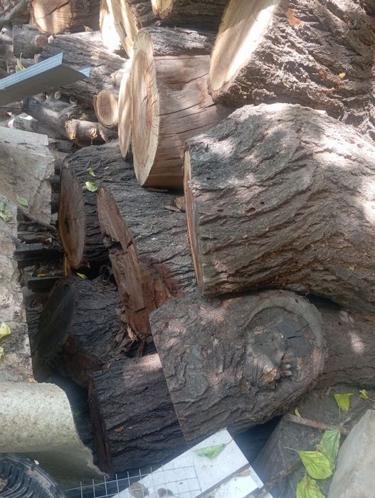 Продам дрова , сухие разные.