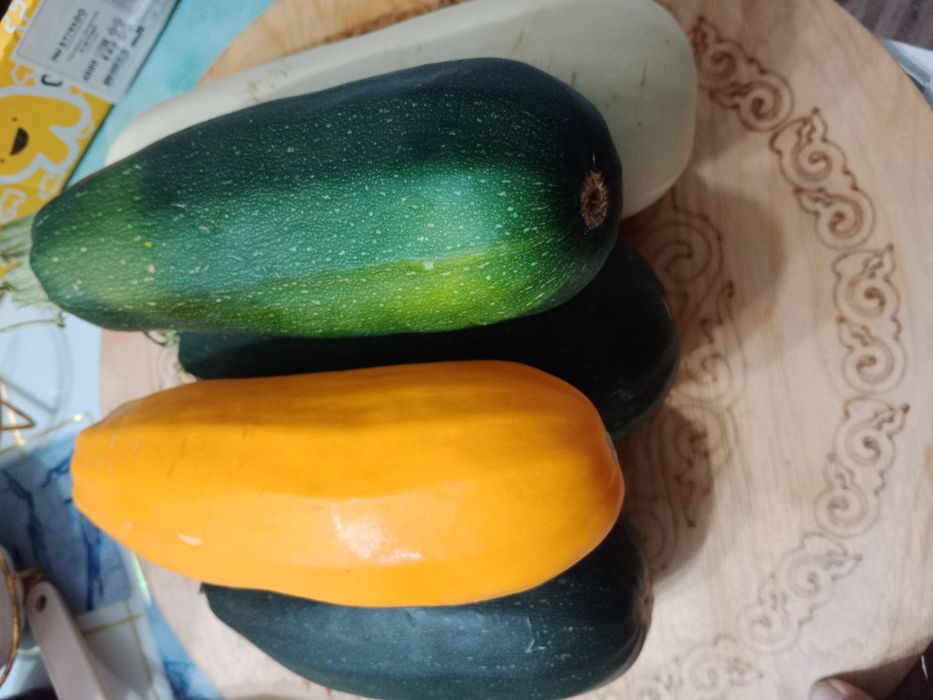 Свежие домашние кабачки