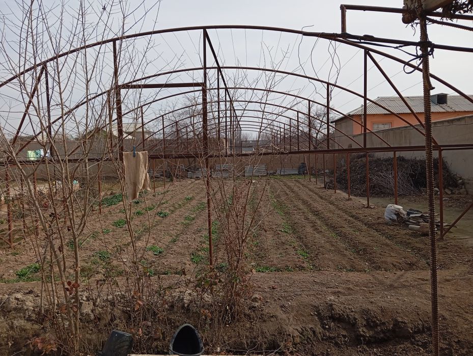Парник темирлари