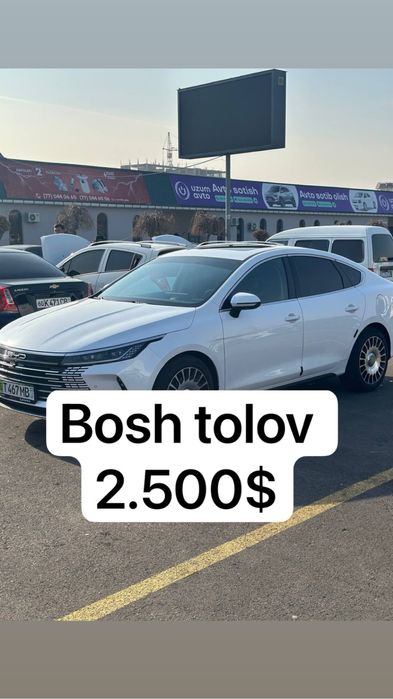 Chazor 2024 2-pozitsa