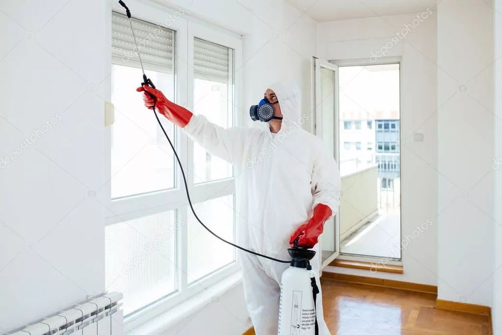 Дезинфекция клопов дезинсекция Dezinfeksiya Dizenfeksiya