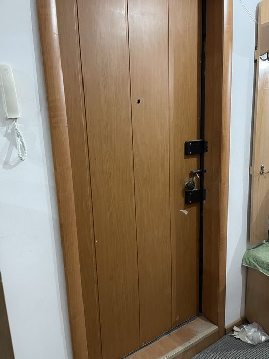 Металлическая дверь