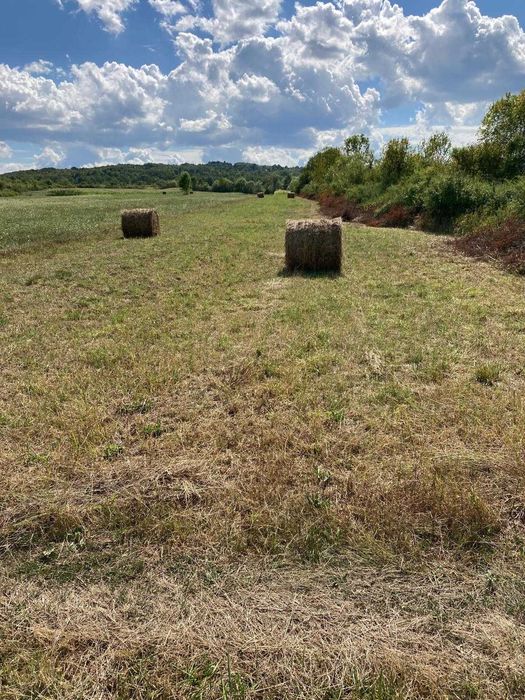 Teren extravilan in Tebea si Baia de Cris langa soseaua principala DN Brad - Oradea