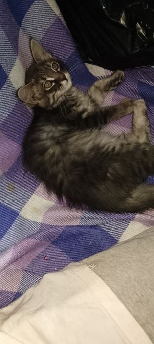 Мальчик 2 месяца