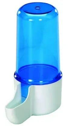 Попугай волнистые хит продаж