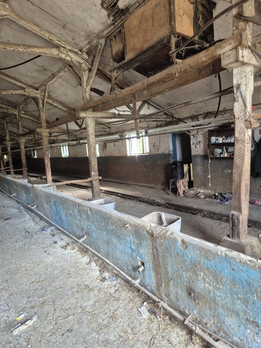 Кравеферма  със оборудване