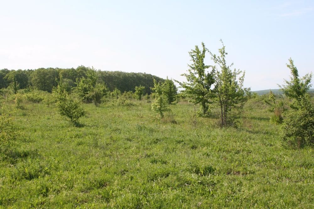 Продава се Парцел в Бяла - 1294 кв.м за 26 €/кв.м - Снимка #5