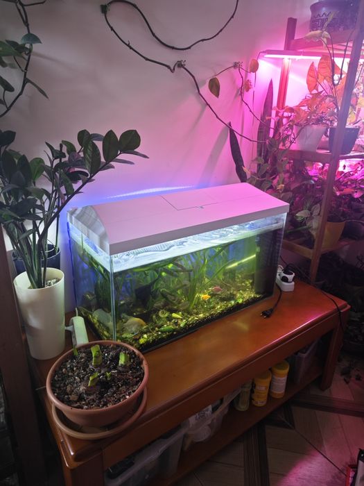 Аквариум 100 литров