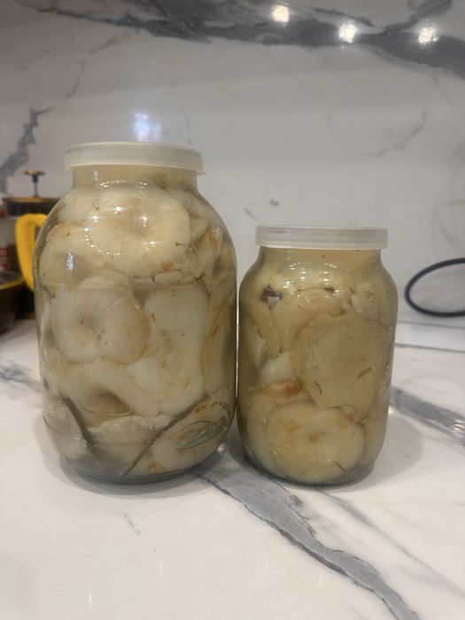 Продам соленые грузди