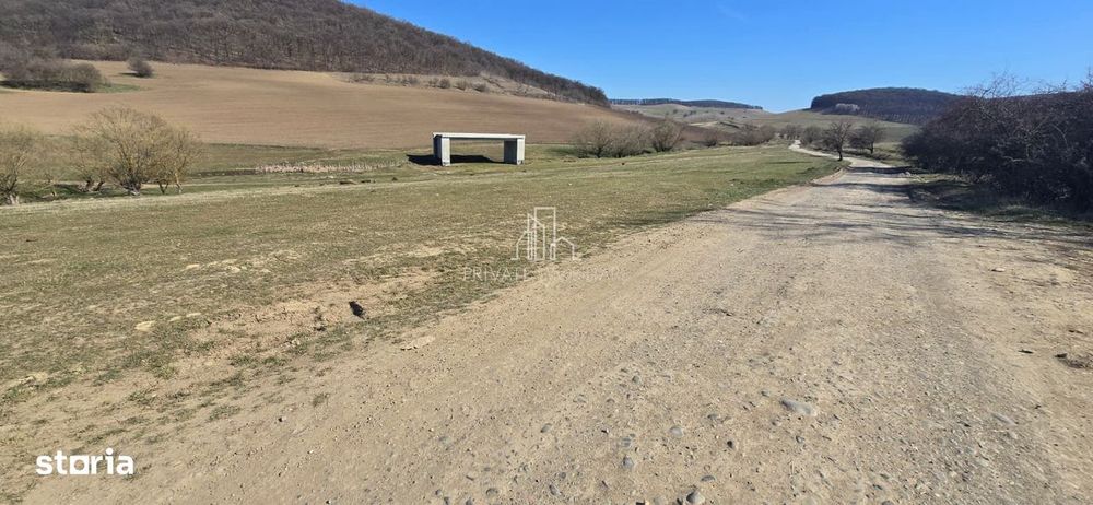 Teren 4 362 Mp Intravilan de Vanzare, Str Caprioarei, Sangeorgiu de Ms
