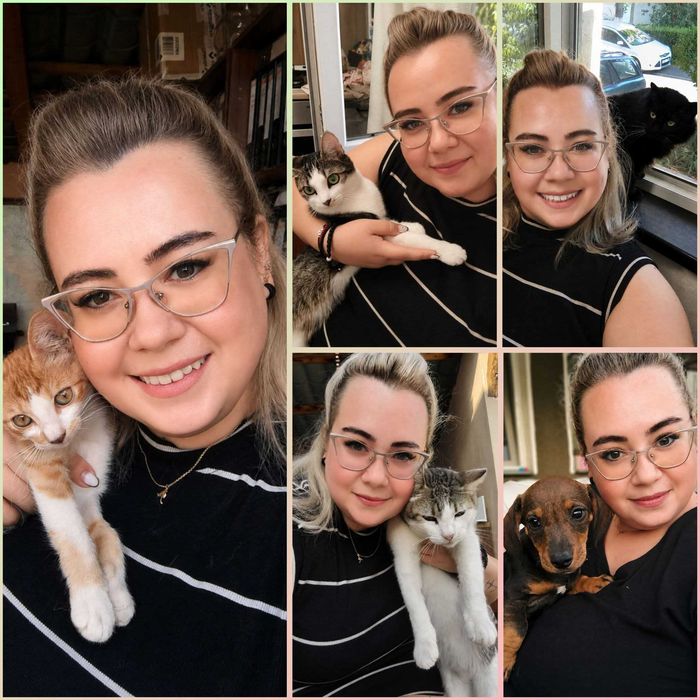 Pet sitter la domiciliul clientului, dog walker, transport animale, tratament veterinar de specialitate, animale exotice, verificare locuință