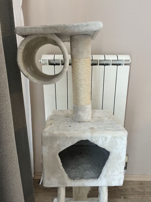 Катетушка за котка